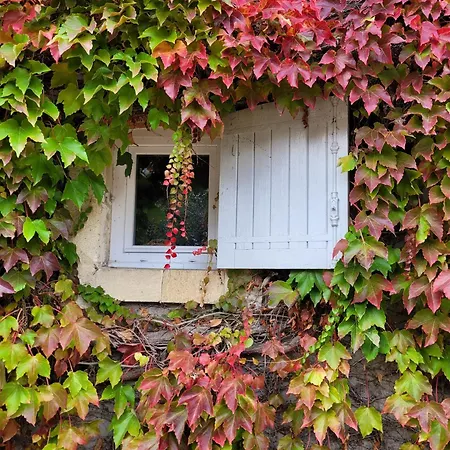 L'annexe De Camillac